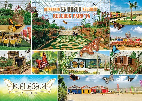 Kelebek Park
